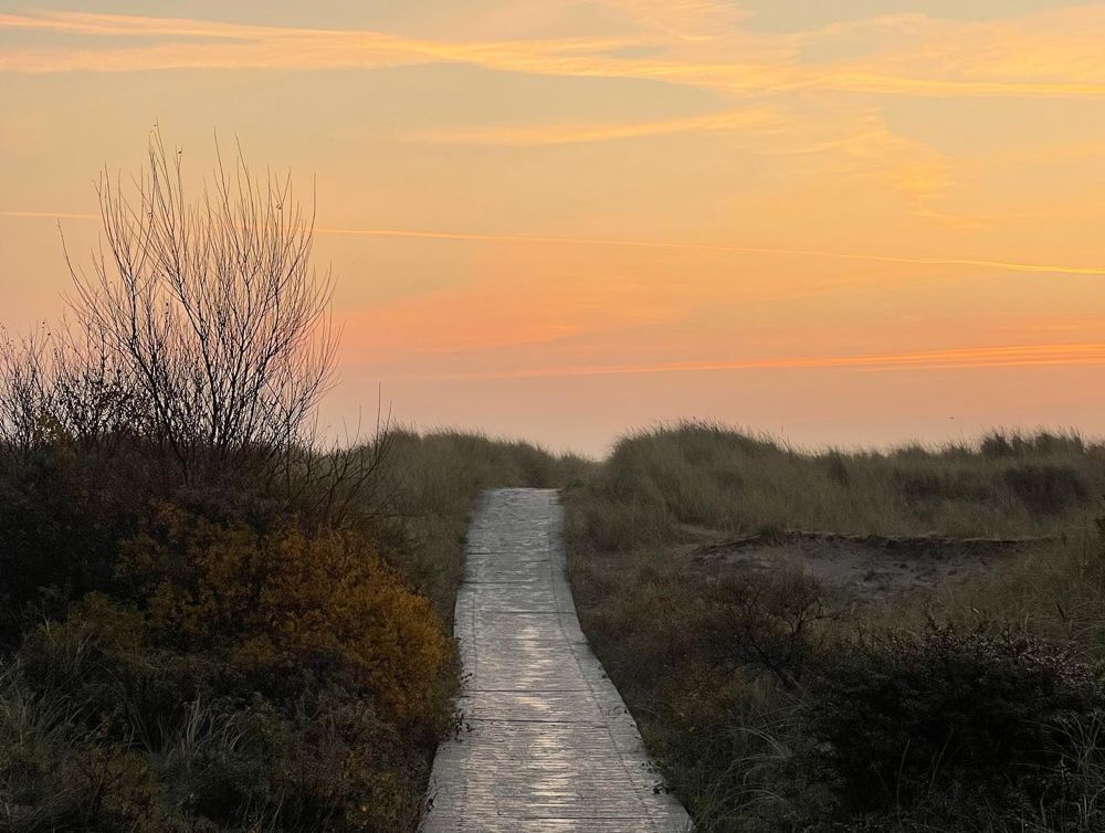 Wooden boardwalk through dunes towards the sea at sunset