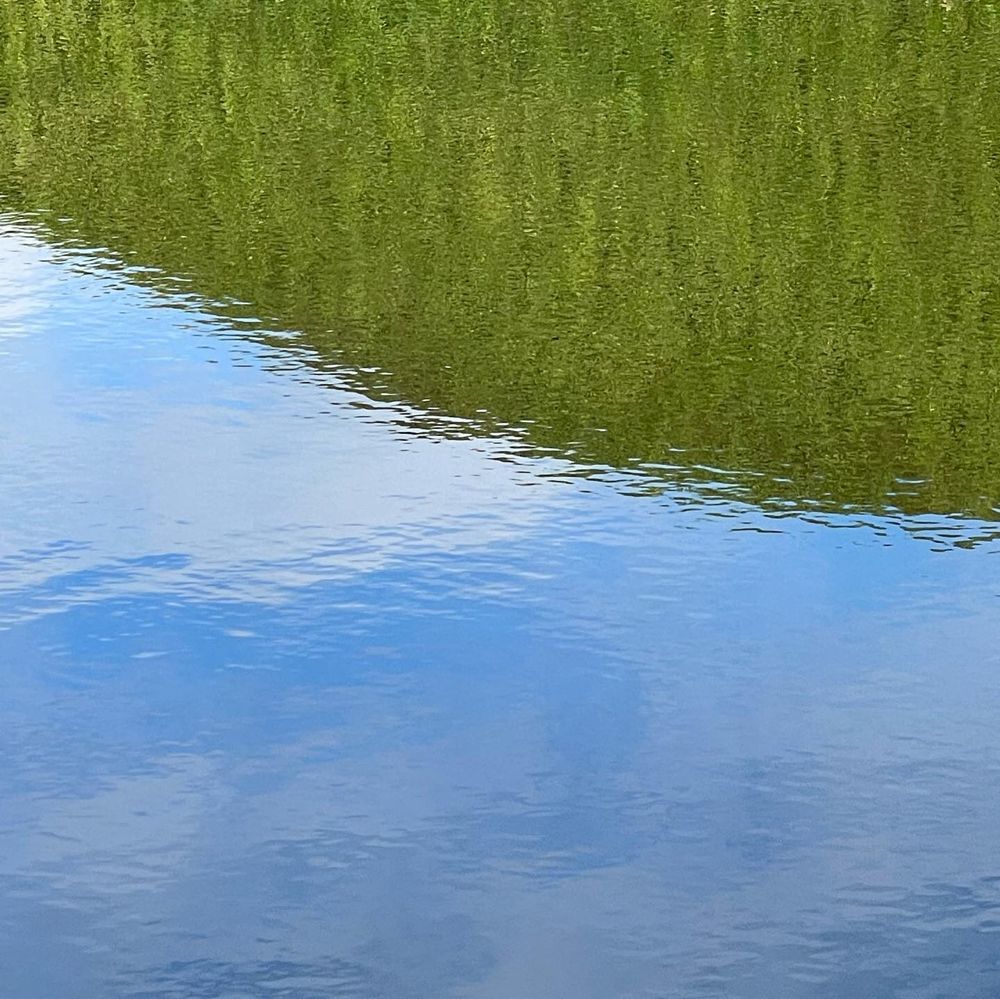 Green trees and blue sky reflected in water
